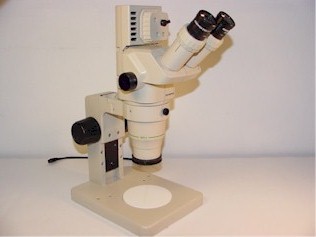 Loupe binoculaire révisée par Claude Gonon Microscopie