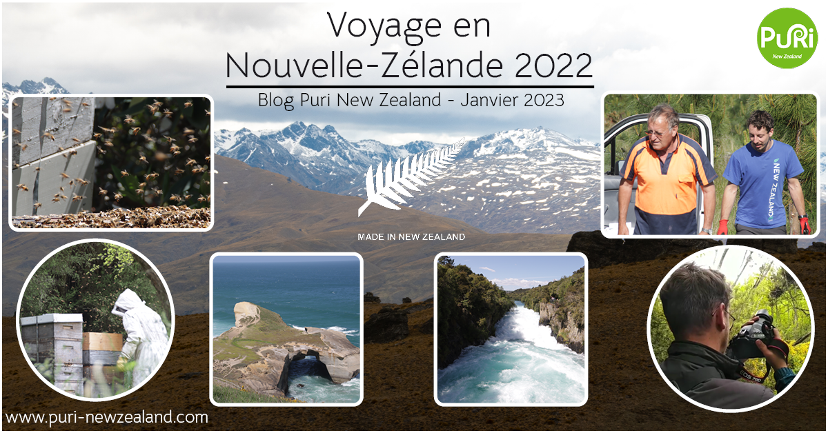 Voyage en Nouvelle-Zélande (édition 2022)