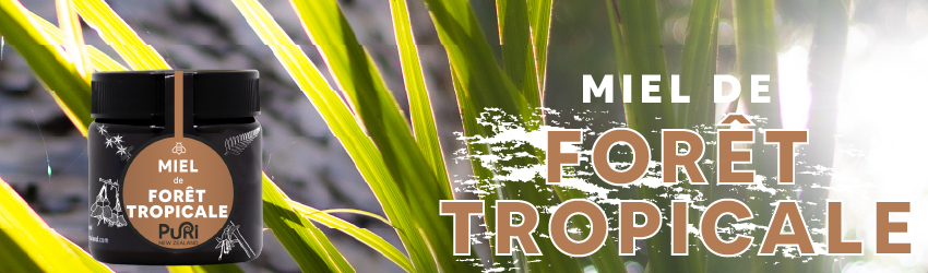 Bannière avec pot de Miel de Forêt Tropicale 240g Puri New Zealand sous fond de fleurs de Forêt Tropicale de Nouvelle-Zélande