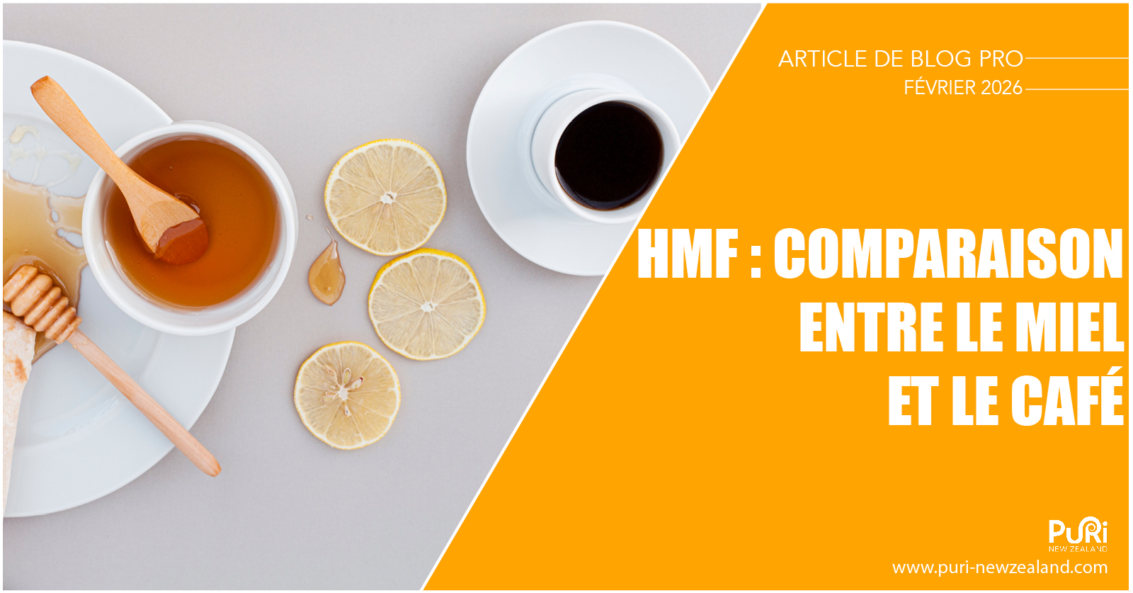 HMF : Comparaison entre le Miel et le Café