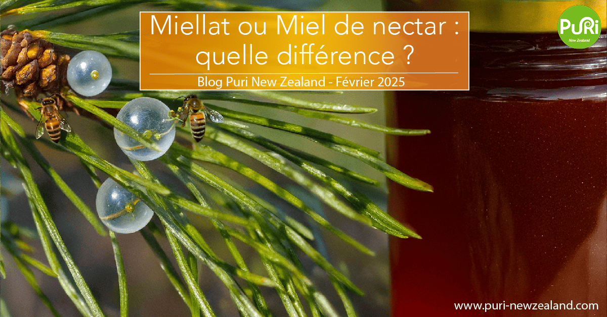 Miellat ou Miel de nectar : quelle différence ?