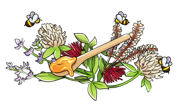 Dessin numérique à la tablette graphique d'une cuillère de miel en bois avec du Miel de Manuka dedans ainsi que des fleurs de thym, trèfle, rewarewa et kamahi butiné par de mignonnes petites abeilles