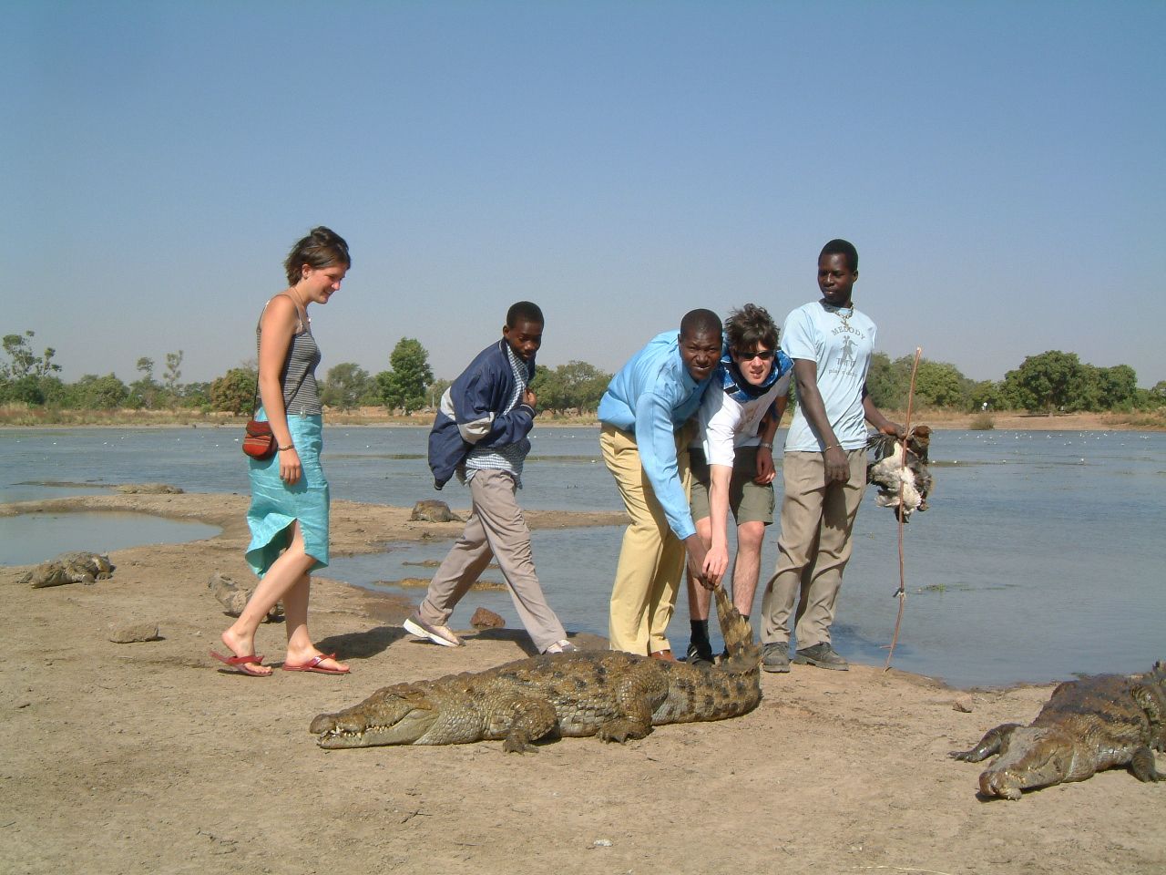 Les caïmans sacrés de Bazoulé