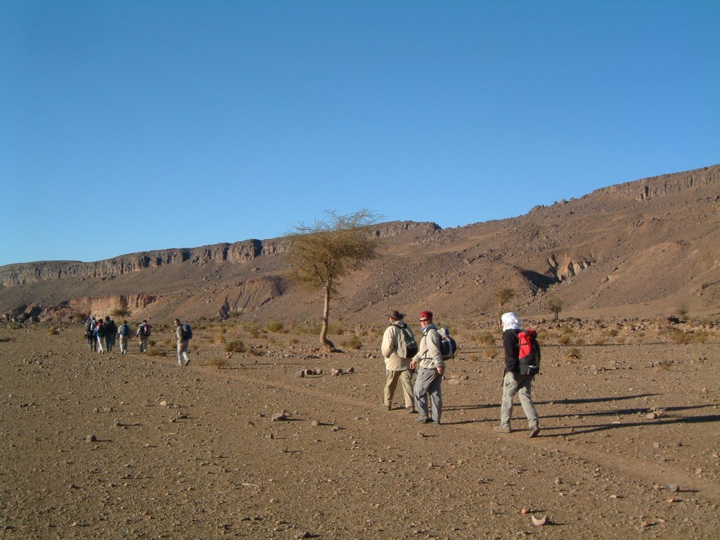 La marche