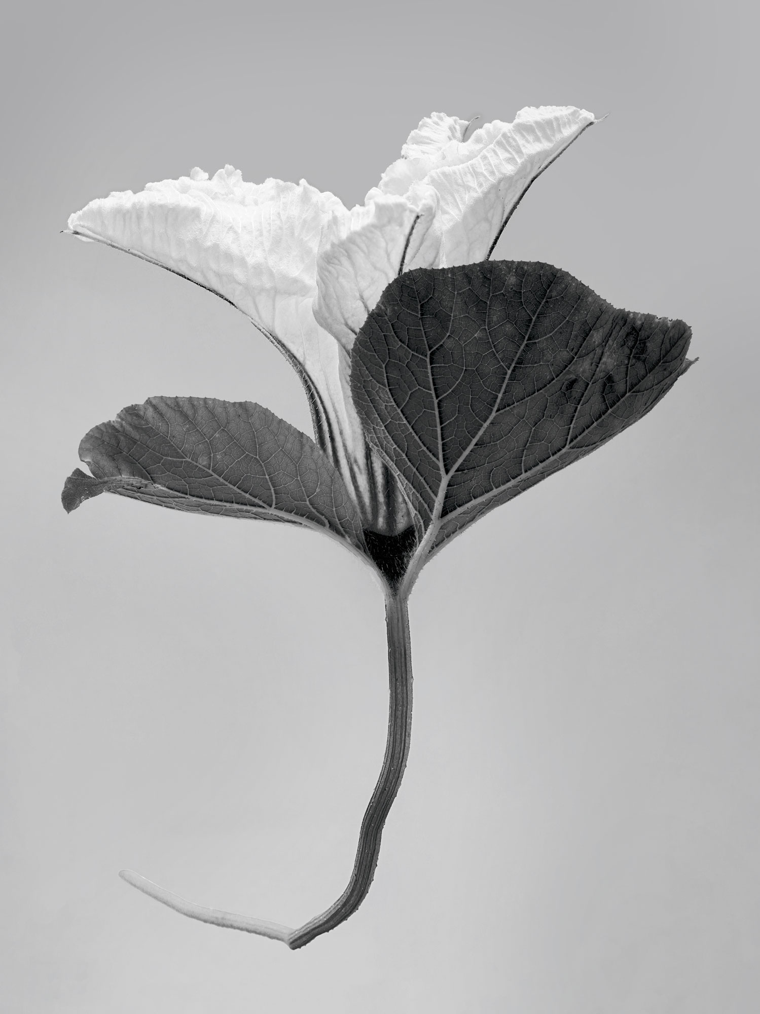 Sandra Gygax-Zehnder Fotografie & Kunst, Köniz