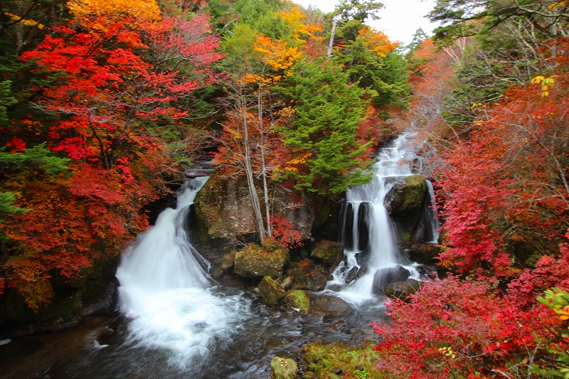Nikko