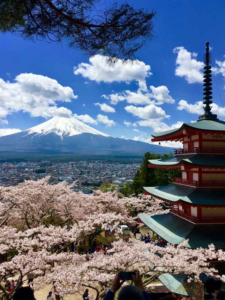 Mt Fuji from Chureito Arakurayama