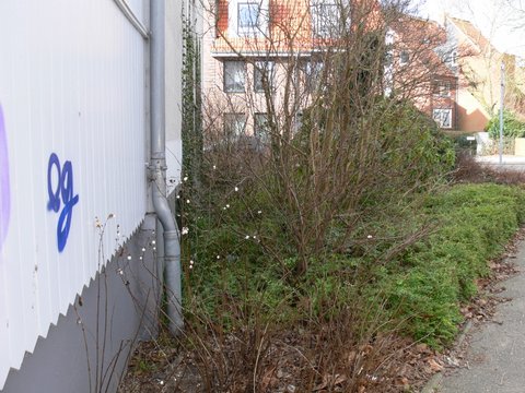 Schmierereien "zieren" die Hauswand