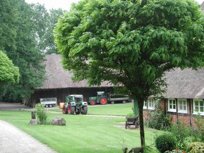 Landwirtschaft