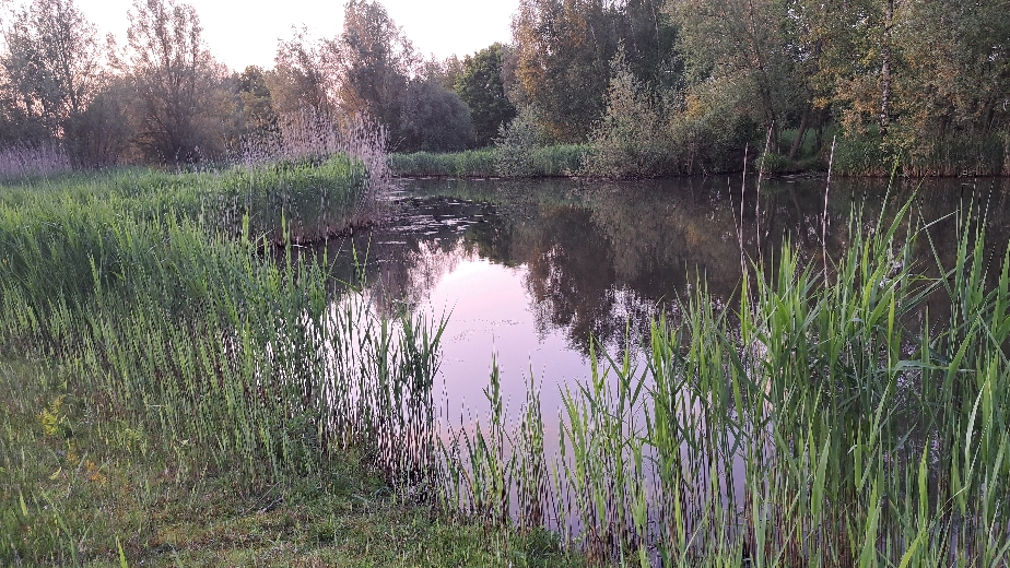 meditatie In de natuur