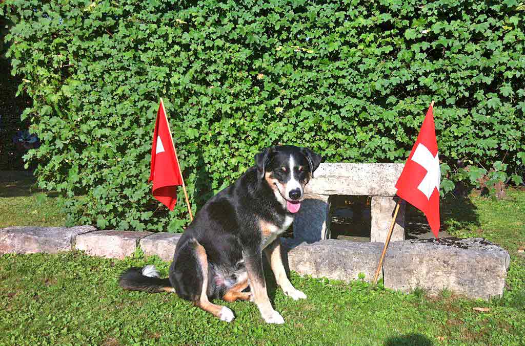 Lasco im Sommer 2018: Bitte freundlich lächeln!