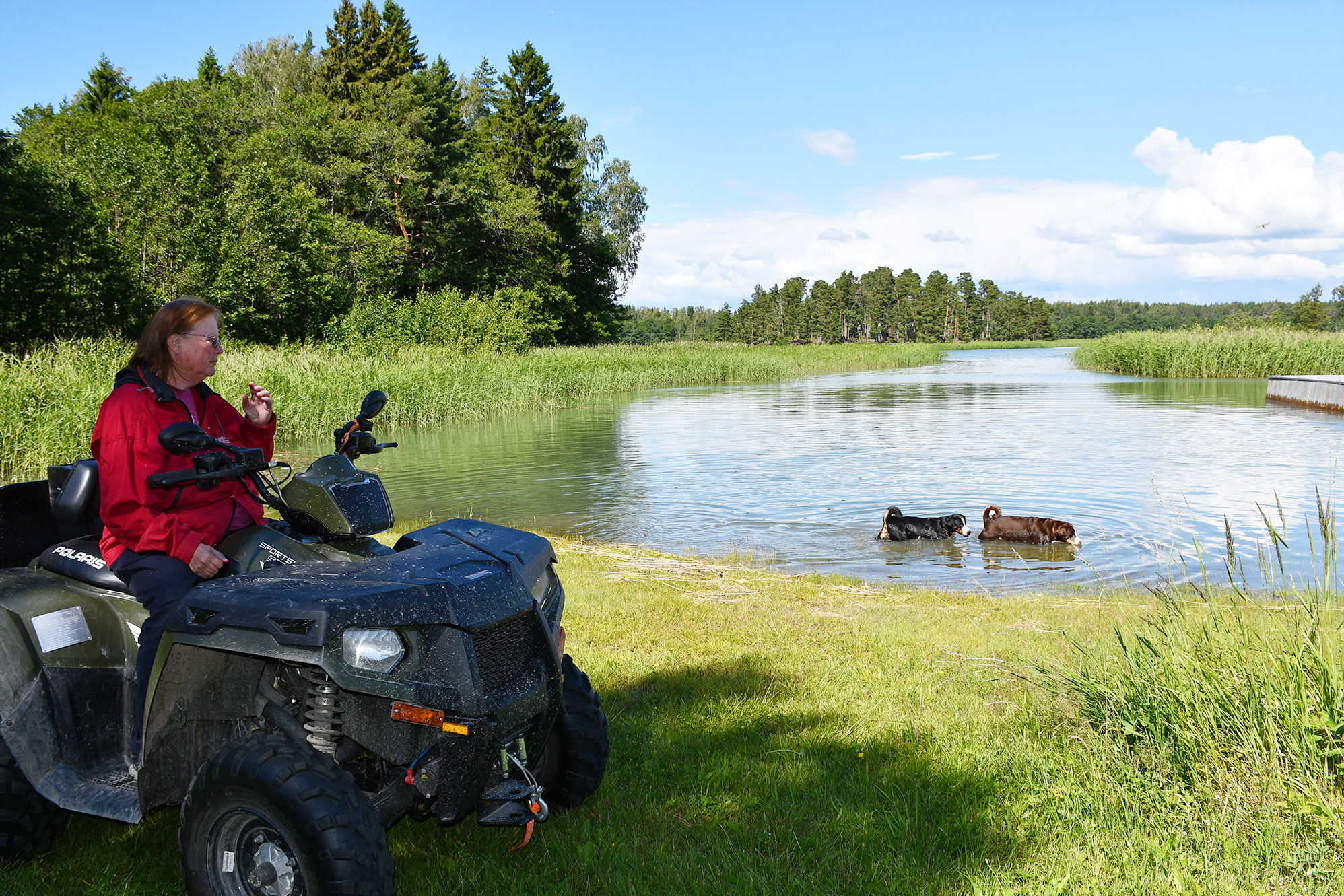 Wenn Vuokko ihre Hunde spazieren führt, fährt sie mit dem Quad voraus.