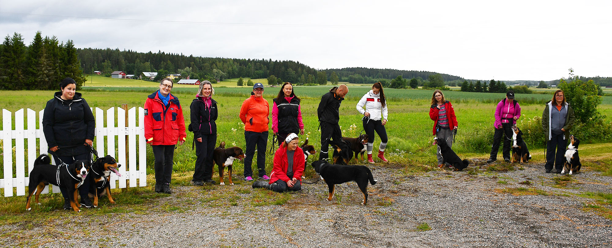 Appenzellertreffen in Finnland: Es war gar nicht so einfach, so viele Hunde und Menschen auf ein Bild zu bringen.