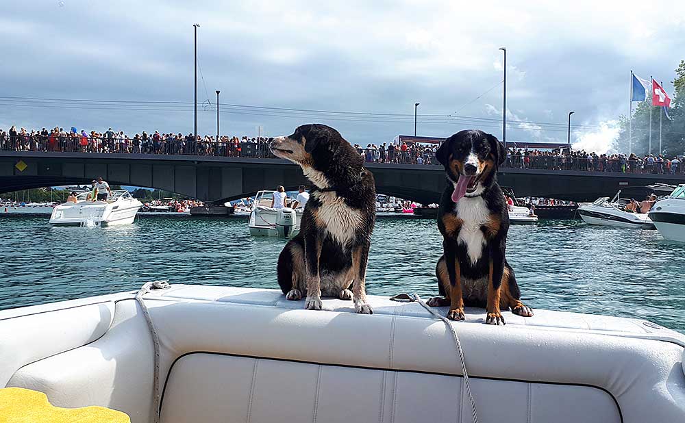 Paloma vom Bachsertal und Anet vom Hohentwielblick an der Street Parade 2019.