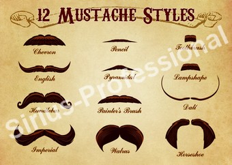 Quadri E Poster Benvenuti Su Sirius Professional E Larovere