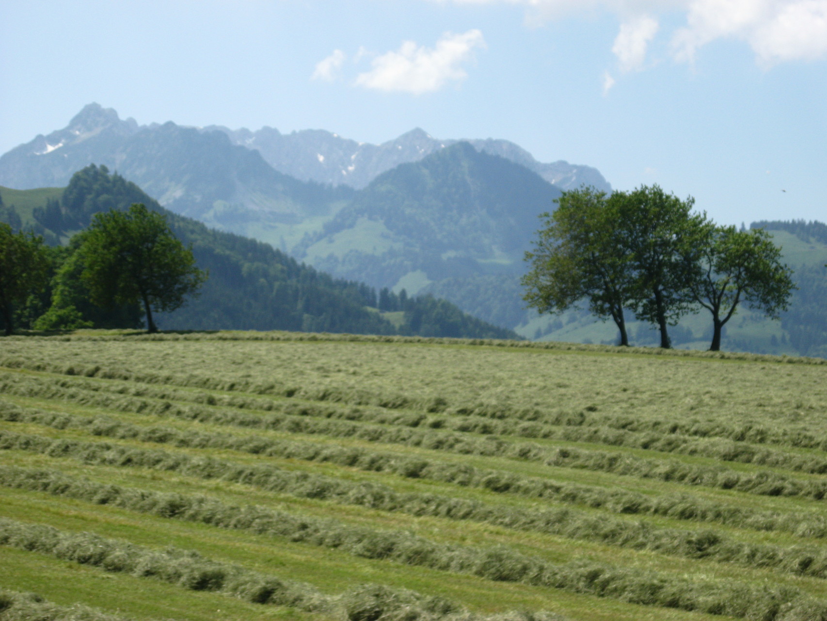 Aussicht vom Balkon