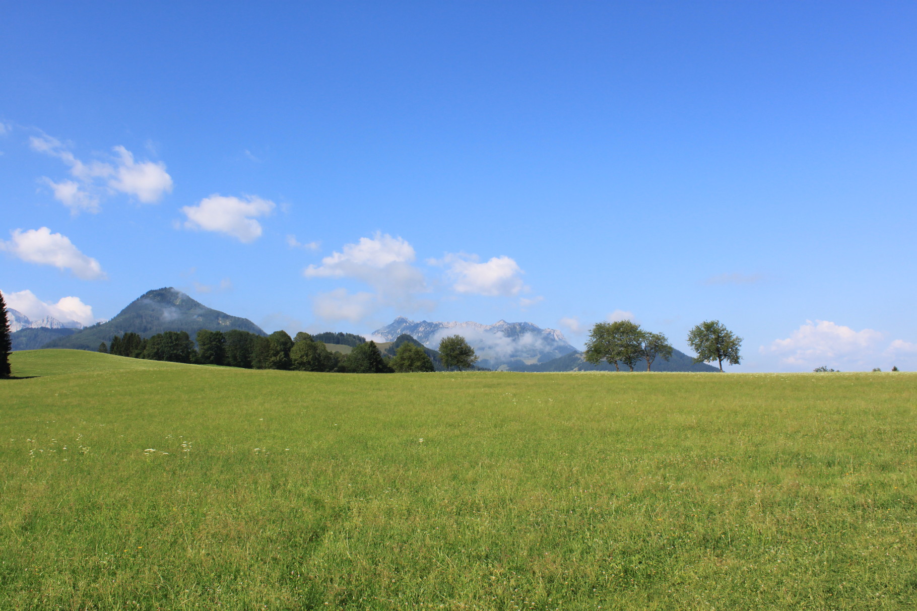 Aussicht vom Balkon