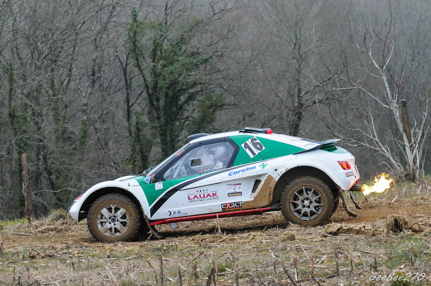 Rallye