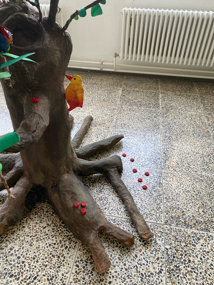 Baum Klasse 4