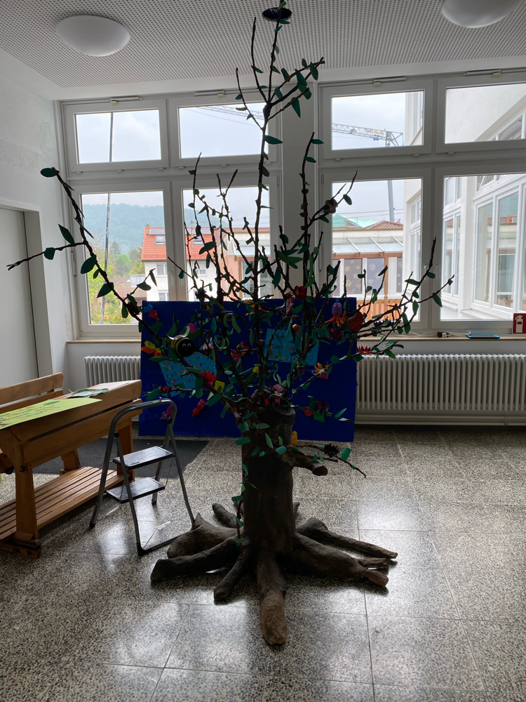 Klasse 4