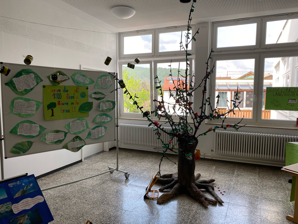 Klasse 4
