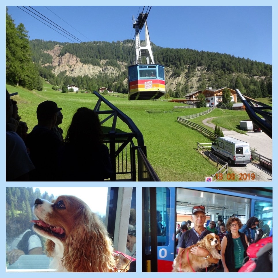 Mit dieser Kabinenbahn sind wir heute früh auf den Kamm (ähnlich einer großen Almwiese) gefahren. Von dort in 2000 m Höhe gibt es ein dichtes Netz an Wanderwegen durch die Dolomiten, von leicht bis schwierig, umgeben von den allerschönsten Dolomitengipfeln. Wir haben uns an das Wort von J.W. v. Goethe gehalten, der sagte : Nur wo du zu Fuß warst, bist du auch wirklich gewesen."