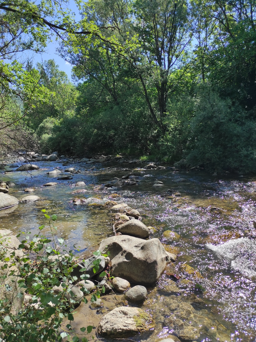 und wir verlassen das Tal des Nationalparks d' Aigüestortes und fahren in den spanischen Naturpark Posets-Maladeta 