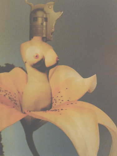 Klemz: En la flor de su vida...