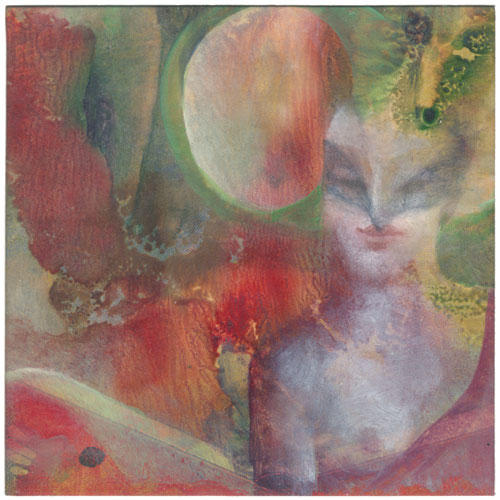 Klemz: Amazona I