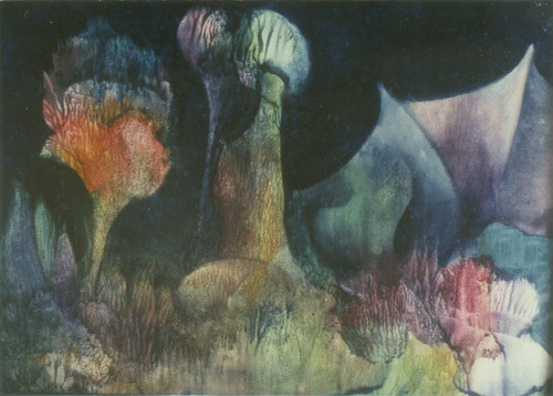 Klemz: Jardín nocturno mágico