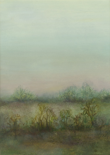 Klemz: Geest (paisaje brezal)