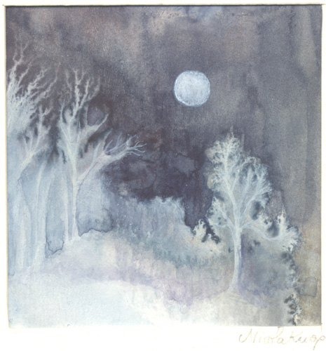 Klemz(Knop): Bosque de plata