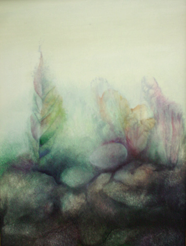Klemz: Selva Morois
