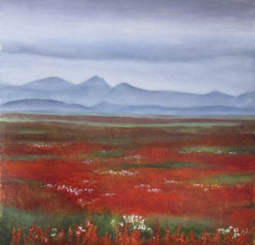 Klemz: Mýrdalssandur (Islandia)
