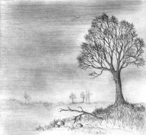 Klemz(Knop): &Aacute;rbol sin bien ni mal