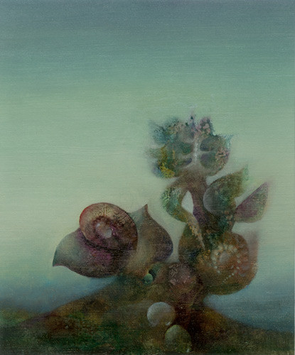 Klemz: Flor de caracol