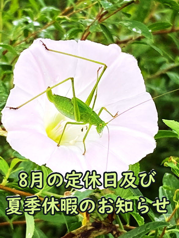 8月の定休日及び夏季休暇のお知らせ