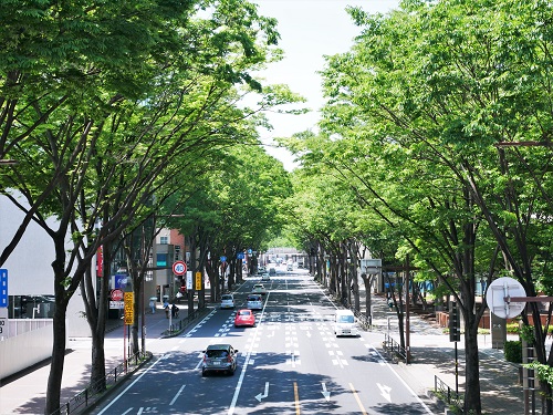 〔地方創生リポート〕まちづくりコンサルタントの取材日記「地域の今」（1）群馬県前橋市編