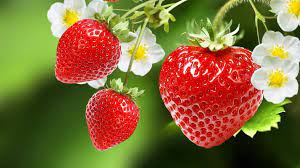 Page FRAISES