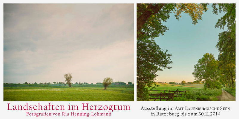 Ria Henning-Lohmann | Ausstellungsflyer "Landschaften im Herzogtum", Amt Lauenburgische Seen, Ratzeburg