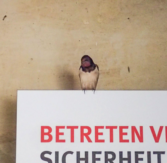 © Ria Henning-Lohmann
