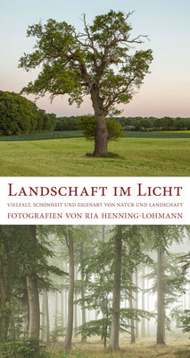 Ria Henning-Lohmann | Ausstellungsflyer "Landschaft im Licht", 2016, Möllner Museum Historisches Rathaus