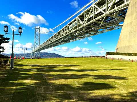 明石海峡大橋を彩る鮮やかなリユース天然芝