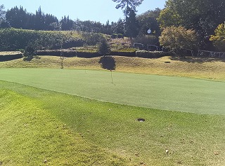 広島紅葉カントリークラブ様、ティフイーグルに