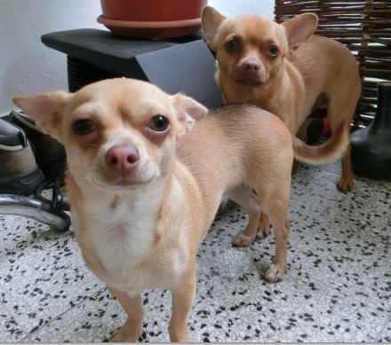 Escada & Flavio