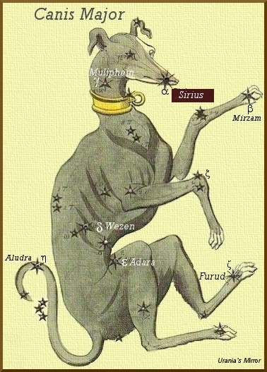 Dessin ancien de la constellation du grand chien