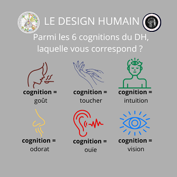 Quelles sont les 6 cognitions du DH ?