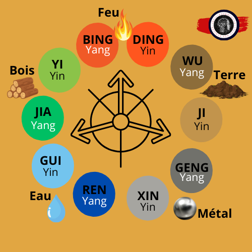 les 5 éléments se divisent chacun en deux polarités Yang et Yin