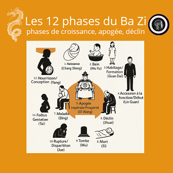 Les 12 phases du BA ZI
