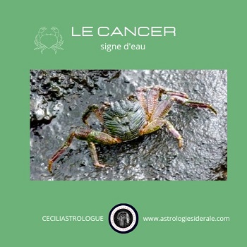 Le cancer, l'émotif